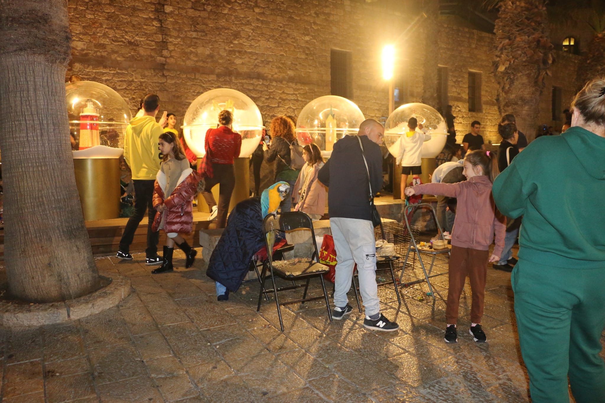 WhatsApp Image 2022-12-19 at 9.03.14 PM (2).jpeg